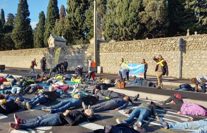 Pedestrians lying on the road in Montpellier to “alert” after the death of a septuagenarian woman hit by a car