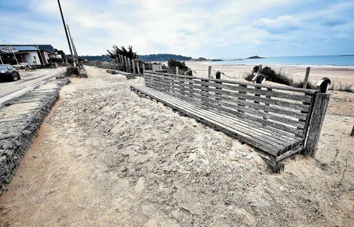 With the passage of Darragh, the dunes of the Golden Sands moved [En images]