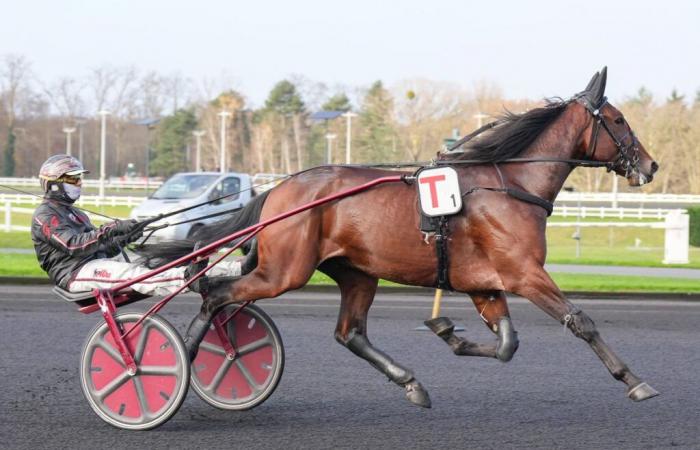 Ginostrabliggi and Eclat de Gloire on track Saturday December 14 in Milan