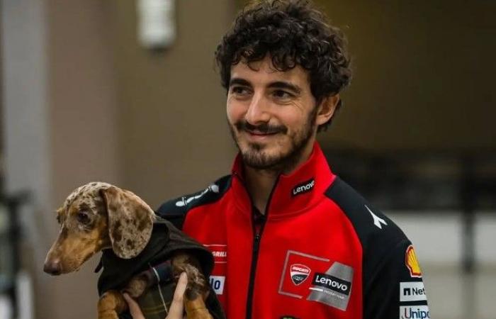 MotoGP, Pecco Bagnaia, the beating heart of Ducati: “it's not easy to enter the hearts of Ducatistas”