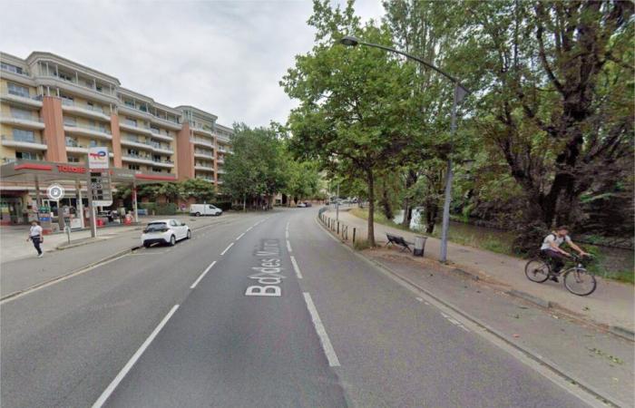 Toulouse. A cycle path will see the light of day on the boulevard, along the Canal du Midi: construction begins