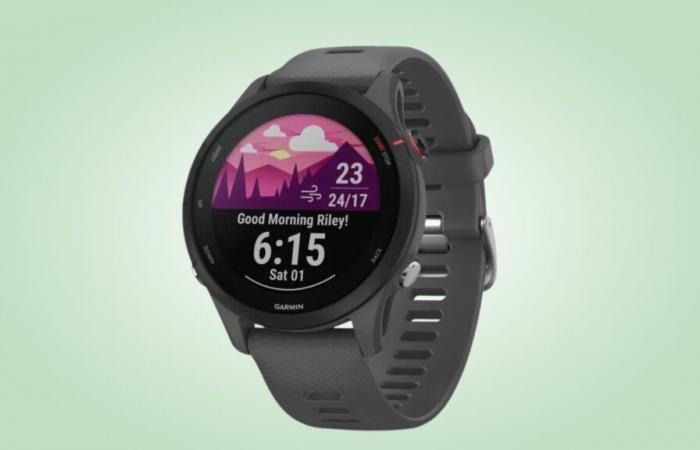 How does Cdiscount manage to offer this Garmin watch at such a low price?