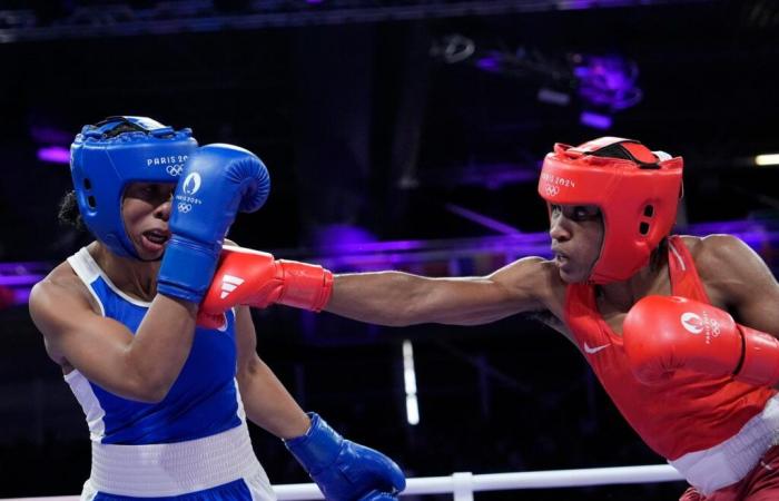 Dominique Nato re-elected as head of the French Boxing Federation