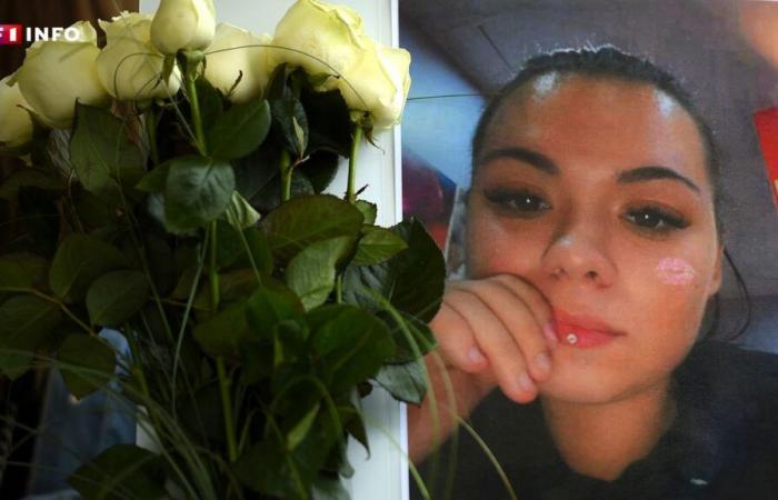 Murder of Stéphanie Di Vincenzo in Hayange: her boyfriend sentenced to life imprisonment with 22 years of security