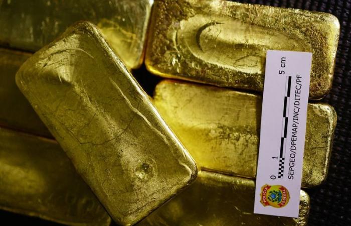 New technology helps Brazil fight illicit gold trade in the Amazon