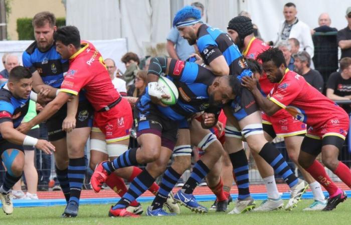 Rugby – Sarlat enjoys great success before the holidays in Federal 1. Belvès also wins.