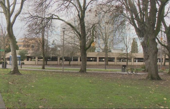 North Portland park receives support for safety improvements from city