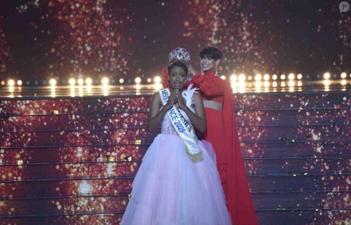 A former Miss France, angry at the results, attacks certain viewers