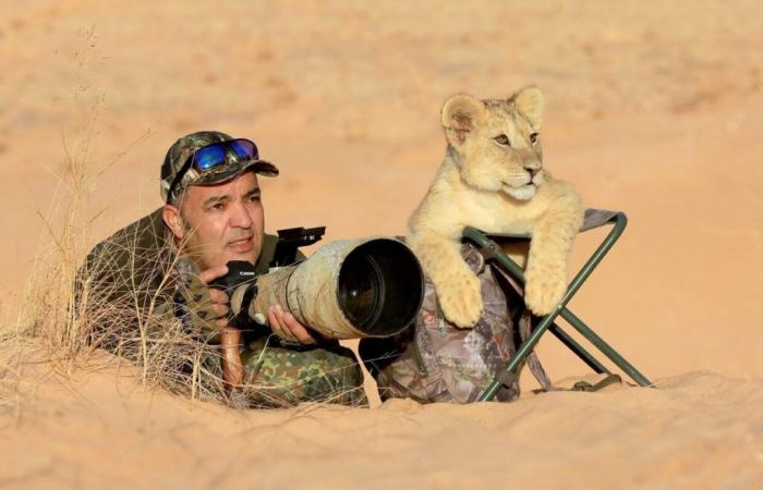 1 m from a cobra ready to pounce: Djamal Hadj Aissa captures the wild photo of the year 2024