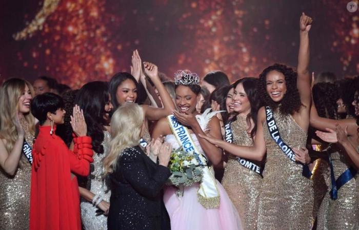 A former Miss France, angry at the results, attacks certain viewers