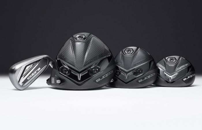 Cobra revolutionizes adjustments with the DS-ADAPT range