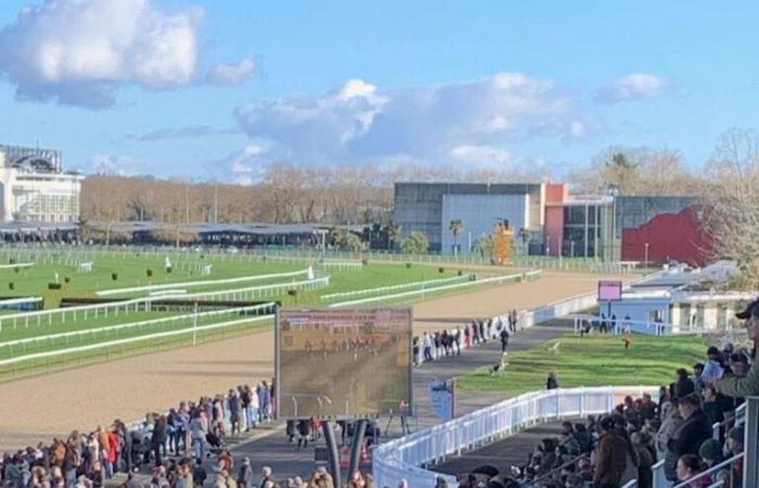 Races in Pau: huge popular success of Christmas at the racecourse