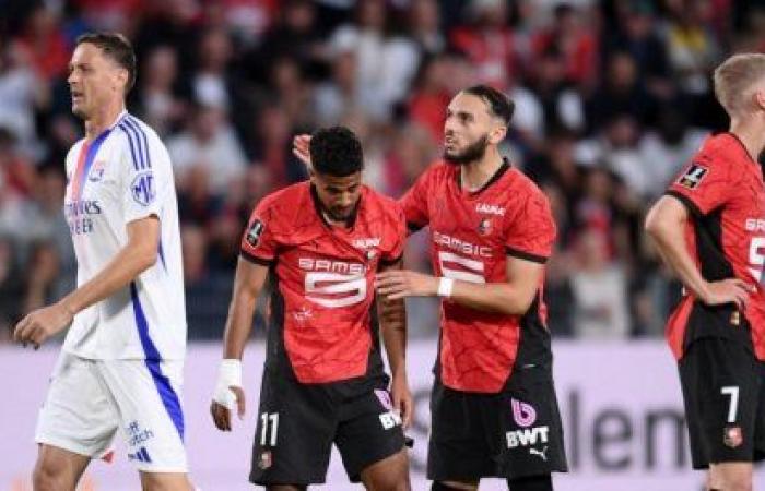 L1 (D15): Everything you need to know about Rennes