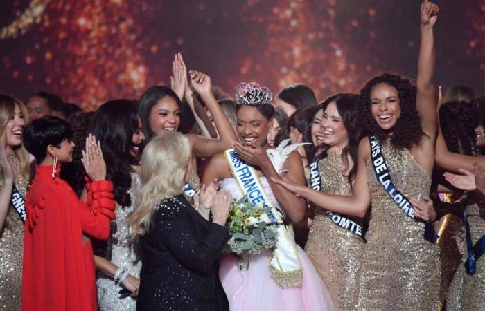 A former Miss France, angry at the results, attacks certain viewers