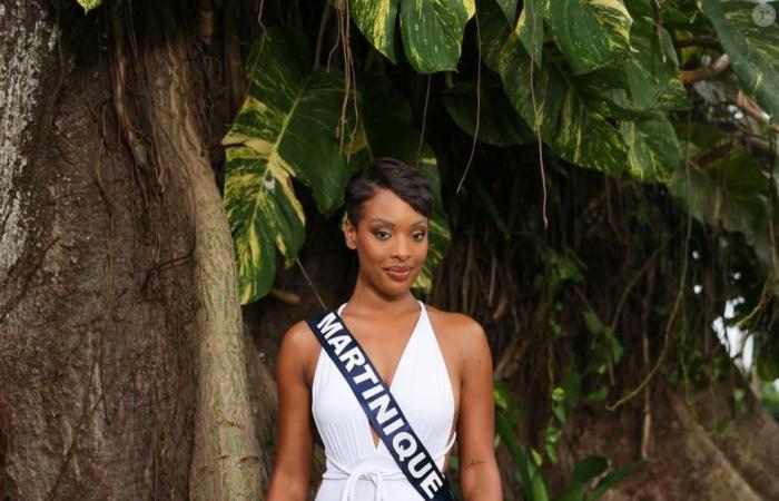 A former Miss France, angry at the results, attacks certain viewers