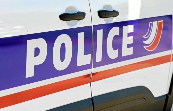 A young girl stabbed to death near Limoges