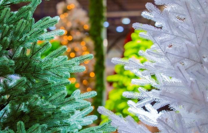 How to choose the most eco-friendly Christmas tree in B.C.