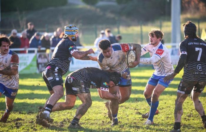 Rugby (Federal 1). Beaten by Gujan-Mestras, Layrac can no longer win