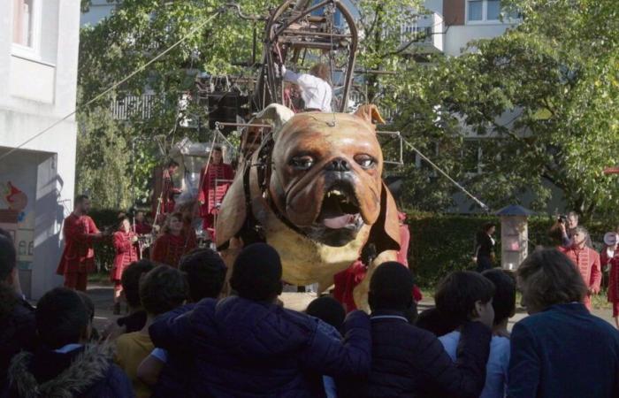 “Giants in my city”: when the Royal de Luxe company puts itself at the height of children