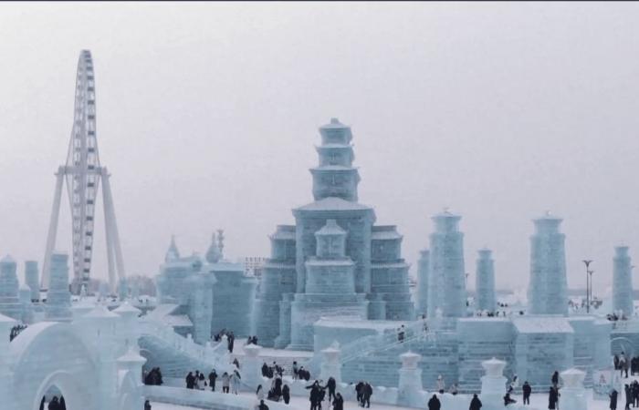 Harbin, the ice city comes to life