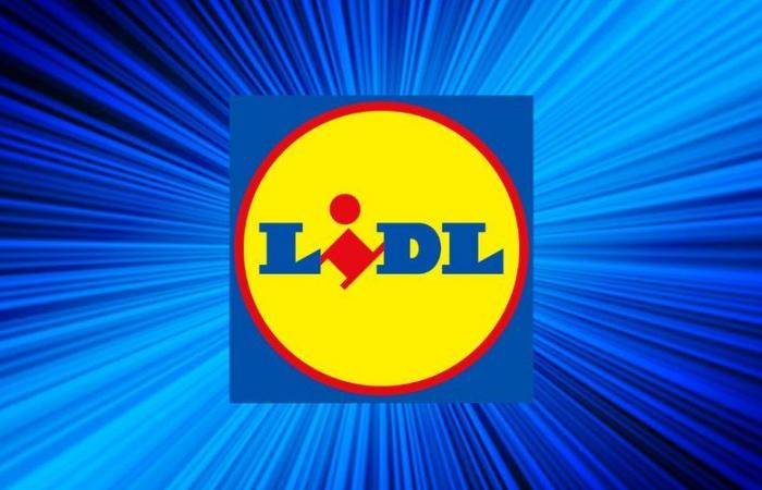 Without warning, Lidl is offering 3 Parkside garden products at unbeatable prices this Sunday