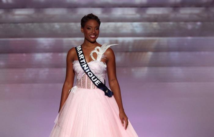 Oldest candidate, flight attendant… Who is Angélique Angarni-Filopon, elected Miss France 2025