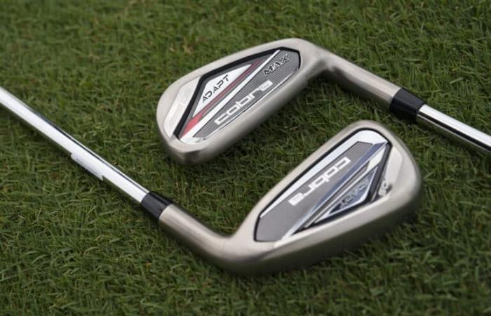 Cobra revolutionizes adjustments with the DS-ADAPT range