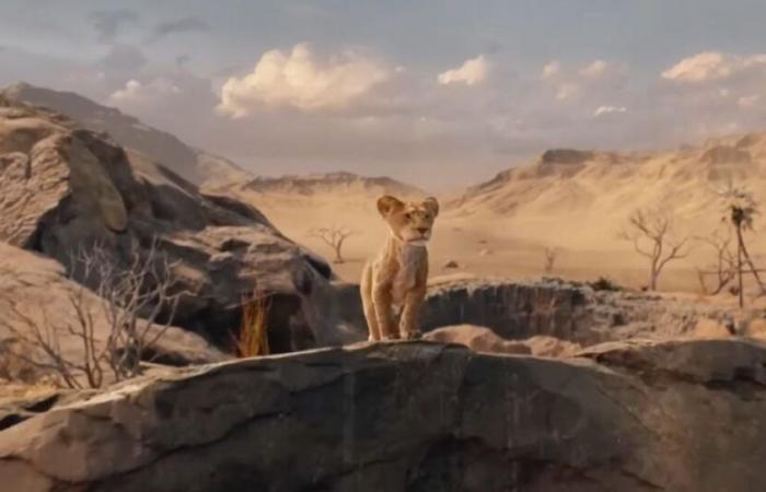 “Better than the 2019 version”: the first spectators of Mufasa: The Lion King give their opinion (and they are crazy!)