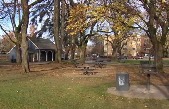 Portland leaders call for new city council to keep working for safer Albina park