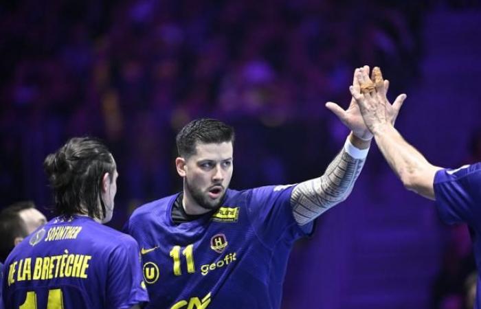 “We didn’t panic” (Liqui Moly Starligue)