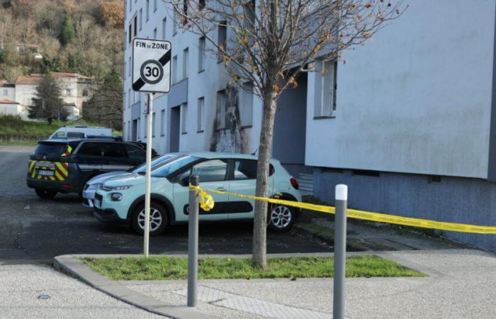 Drome. Death of a young man amid domestic violence in Saint-Vallier