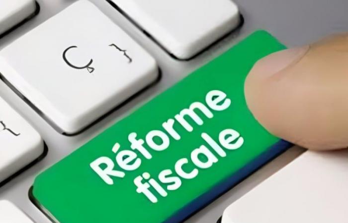 The Court of Auditors recommends the activation of the tax reform