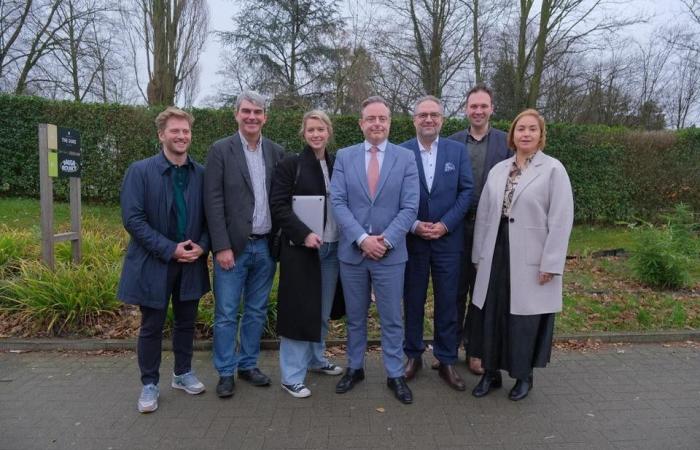 OVERVIEW. This is the ten-member Antwerp city council (Antwerp)