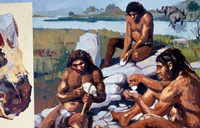 Neanderthals lived with us for 7,000 years