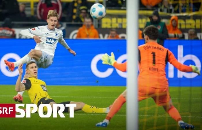 14th round of the Bundesliga – equalizer in stoppage time: Dortmund drops points – Sport