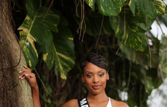 A former Miss France, angry at the results, attacks certain viewers