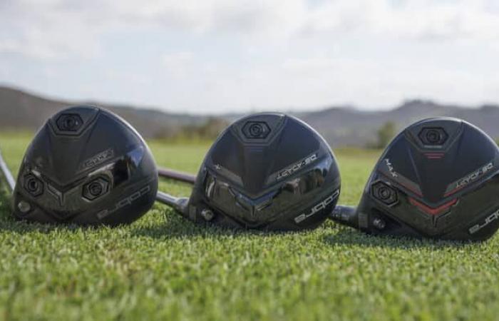 Cobra revolutionizes adjustments with the DS-ADAPT range