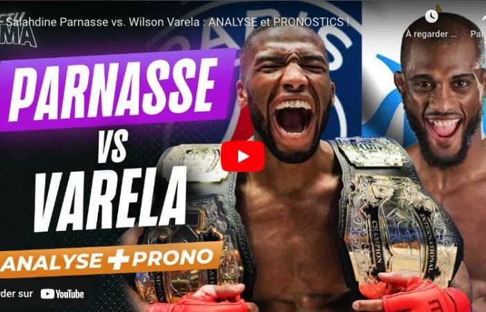 Patrick Habirora speaks after his KO victory at PFL Lyon: “Come, let’s make peace…”