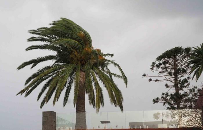 The Government deactivates the maximum alert in the Canary Islands, but maintains pre-alerts in two Islands