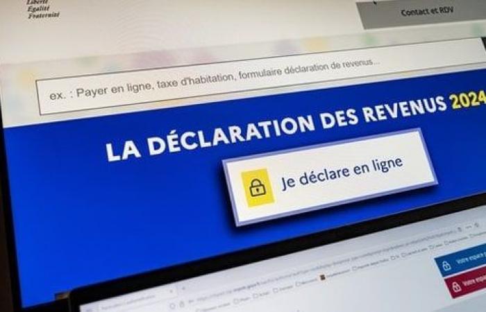 Will the French escape the tax increase in 2025?