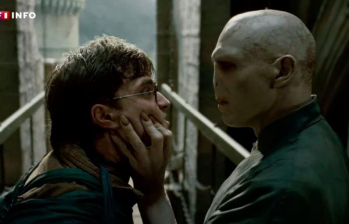 Harry Potter: everything we know (for the moment) about the future TV series