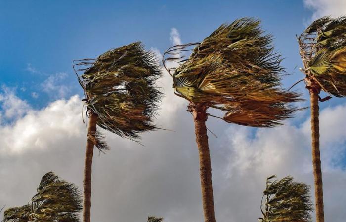 Storm Dorothea forces the cancellation of classes in El Hierro, Tenerife, La Gomera and areas of La Palma