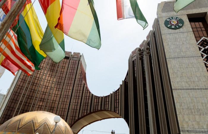 ECOWAS Bank for Investment and Development wins African Sustainable Development Prize