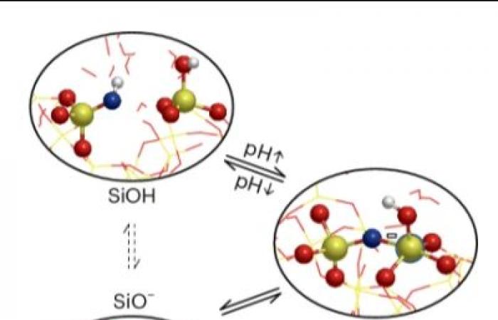 A new probe to understand water-SiO₂ interactions