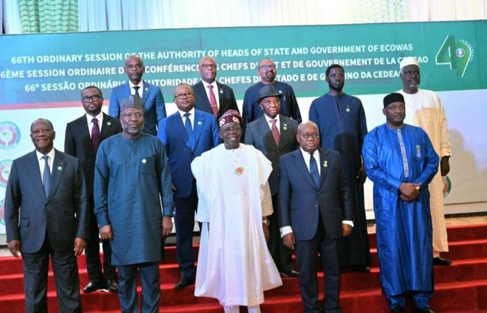 ECOWAS takes a major decision: the creation of a special court to judge…