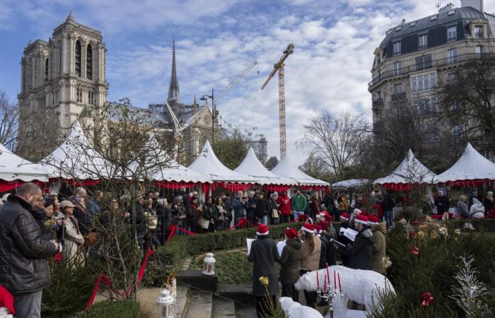 In photos | The planet in Christmas mode