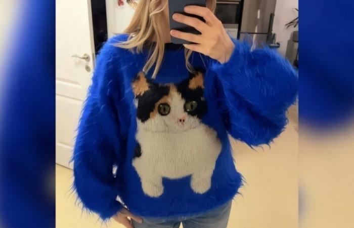 “I bought this ugly sweater for 10 euros at a thrift store, I was stunned when I discovered its true price”