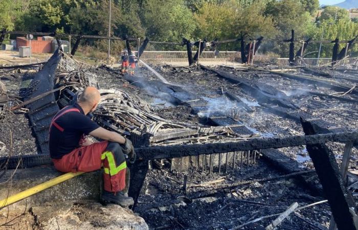 The three young people who burned down the Auzon space, in Carpentras, “will compensate the victims for the rest of their lives”