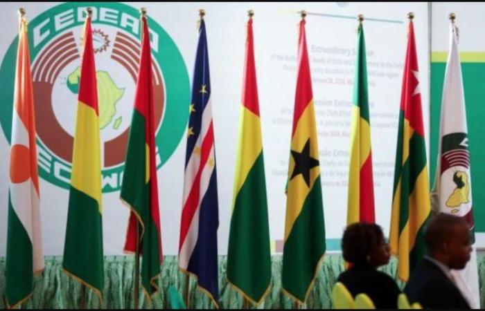 Abuja: Security issues on the menu of the summit of ECOWAS heads of state and government