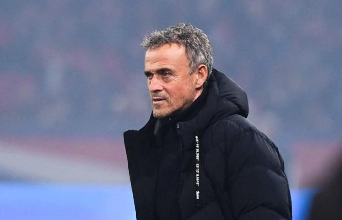 PSG: Luis Enrique lets loose on his next reinforcement